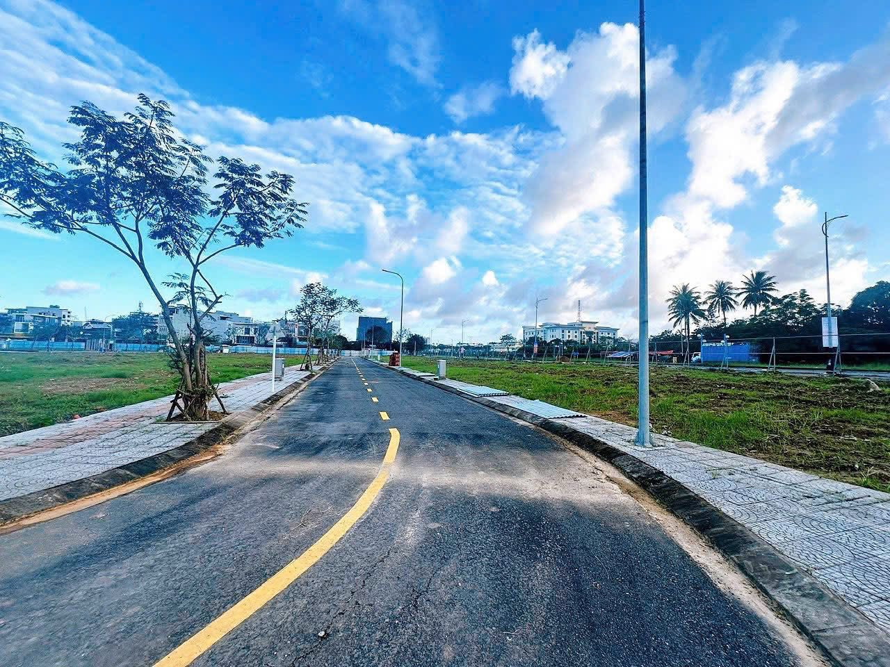 Futa Royal Park (Phương Trang C5B) 4 Ha tang duong nhua va cay xanh hoan thien tai du an Futa Royal Park Da Nang